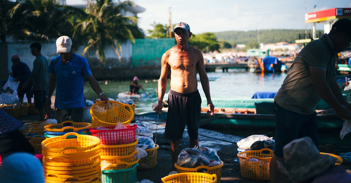 南韓重新考慮加入CPTPP 經濟版圖再起變化