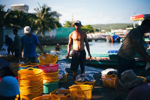 Free Fishermen sorting catch at a bustling waterfront market with colorful baskets and boats. Stock Photo