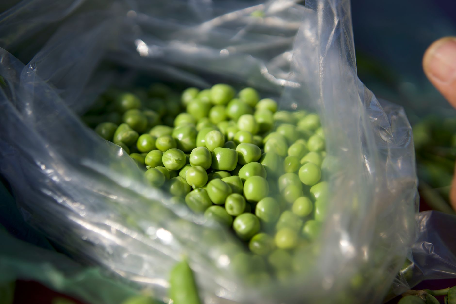 Canada Regulator Seeks to Block B&G Foods' Green Giant Sale