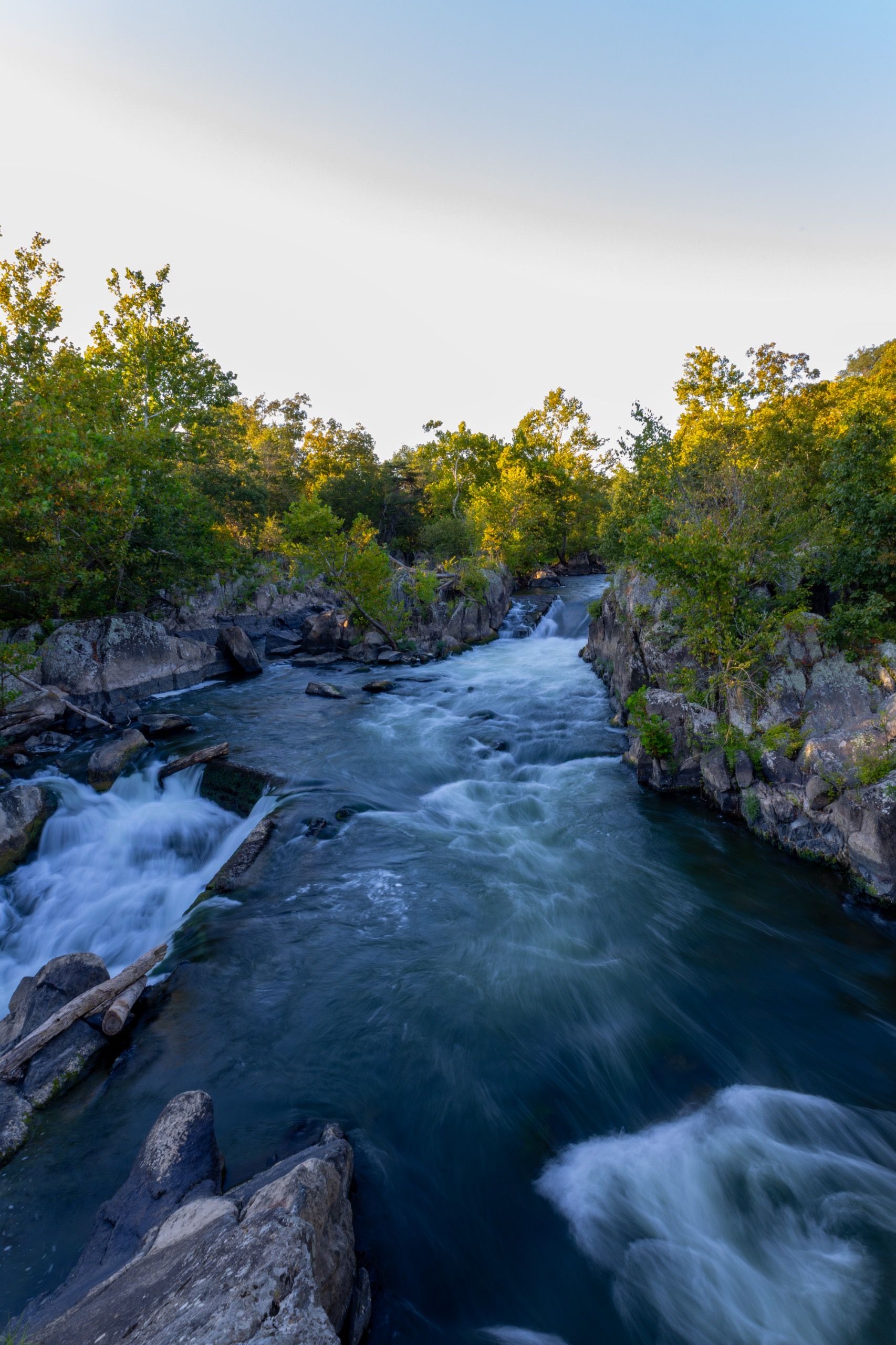 Forest River Photos, Download The BEST Free Forest River Stock Photos ...