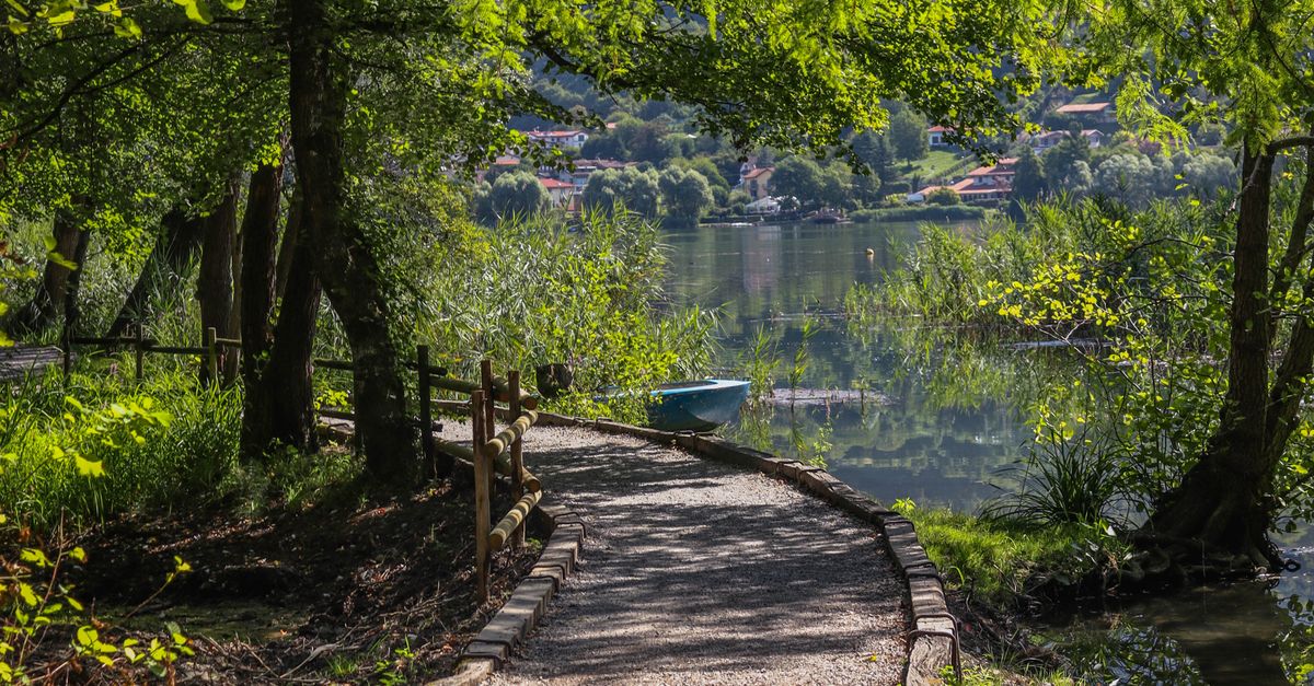 Peaceful Lakeside Path Through Green Forest Free Stock Photo peaceful-lakeside-path-through-green-forest-free-stock-photo