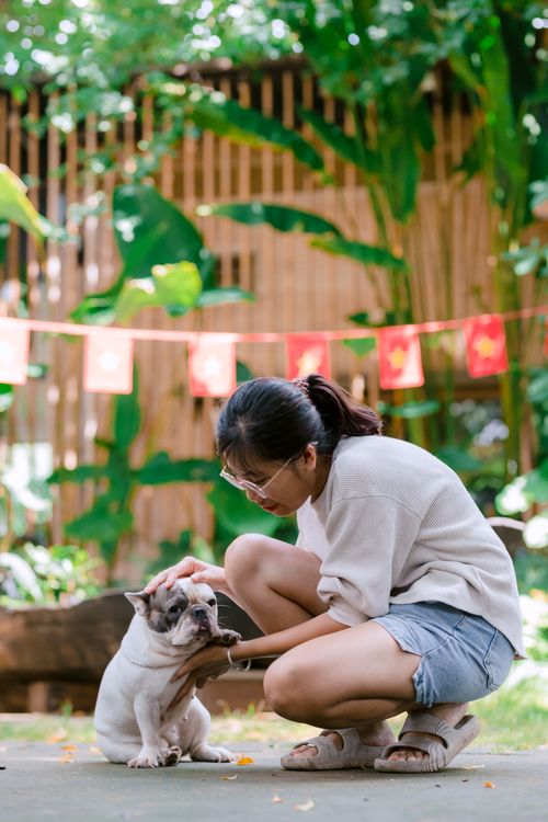 Free Woman kneeling to pet a bulldog in a lush garden setting. Stock Photo