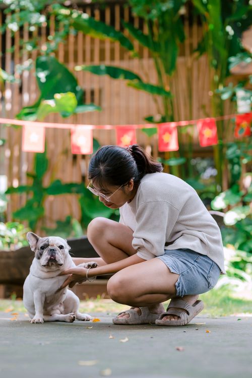 Free A woman crouches to play with her French Bulldog in a lush garden. Stock Photo