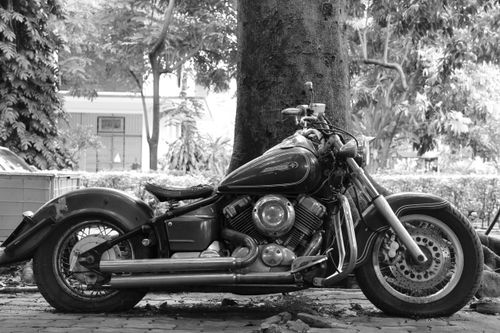Free Classic motorcycle parked against a tree in a peaceful park setting, captured in black and white. Stock Photo