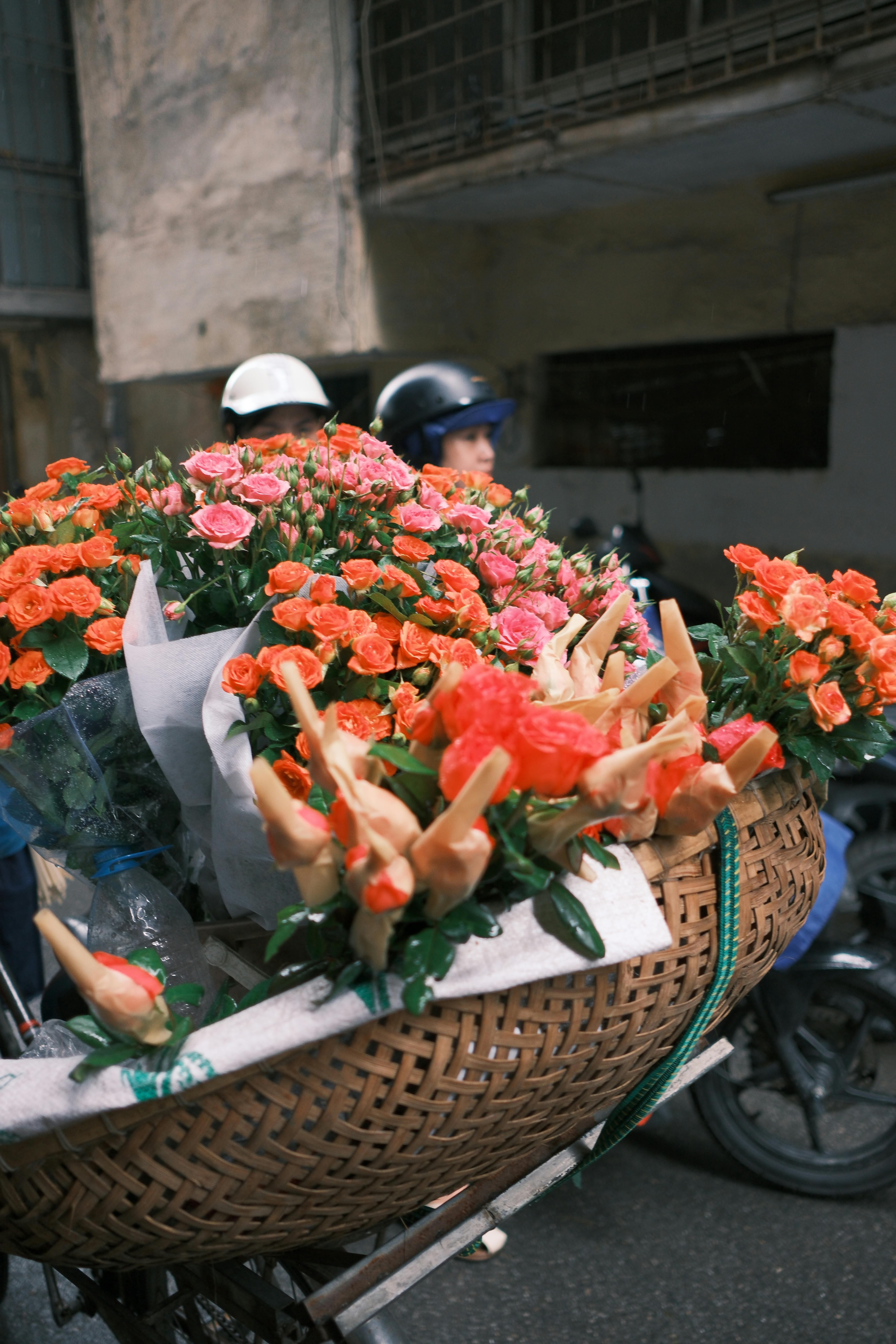 南韓重新考慮加入CPTPP 經濟版圖再起變化