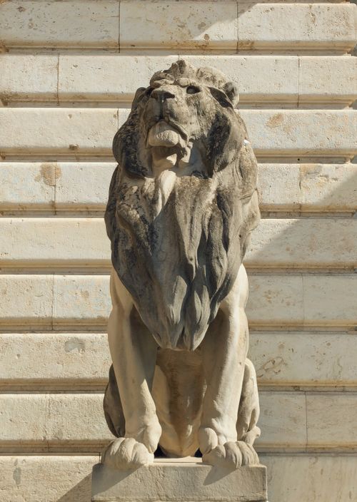 Free Statue of a majestic lion at Buda Castle in Budapest, Hungary. Stock Photo