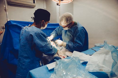 무료 환자의 생명을 구하는 의사의 사진 스톡 사진
