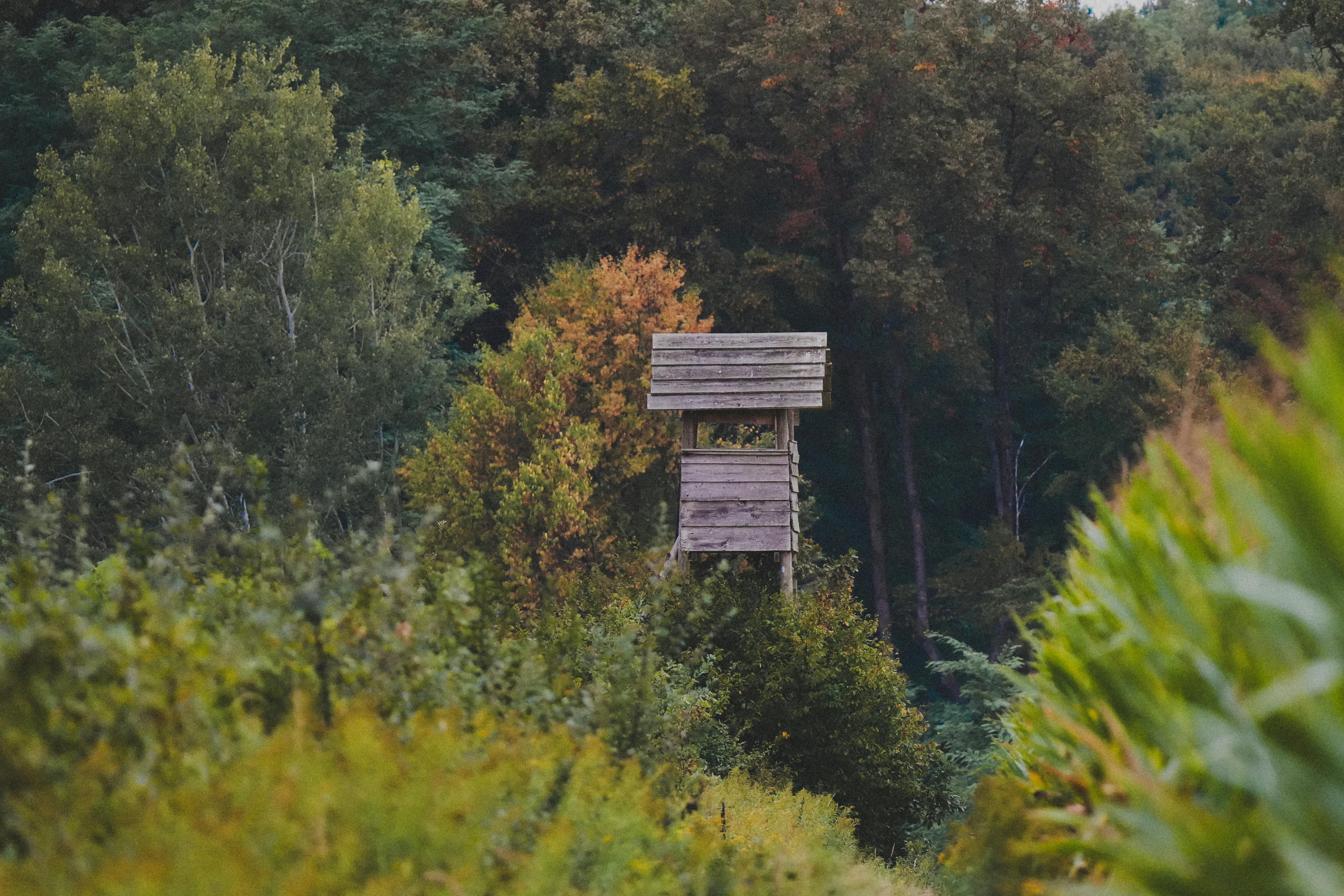 Hunting &amp; Outdoor Adventure Show at QCCA Expo Center, Rock Island, Feb. 12-15 — Photo by Nikola Tomašić on Pexels