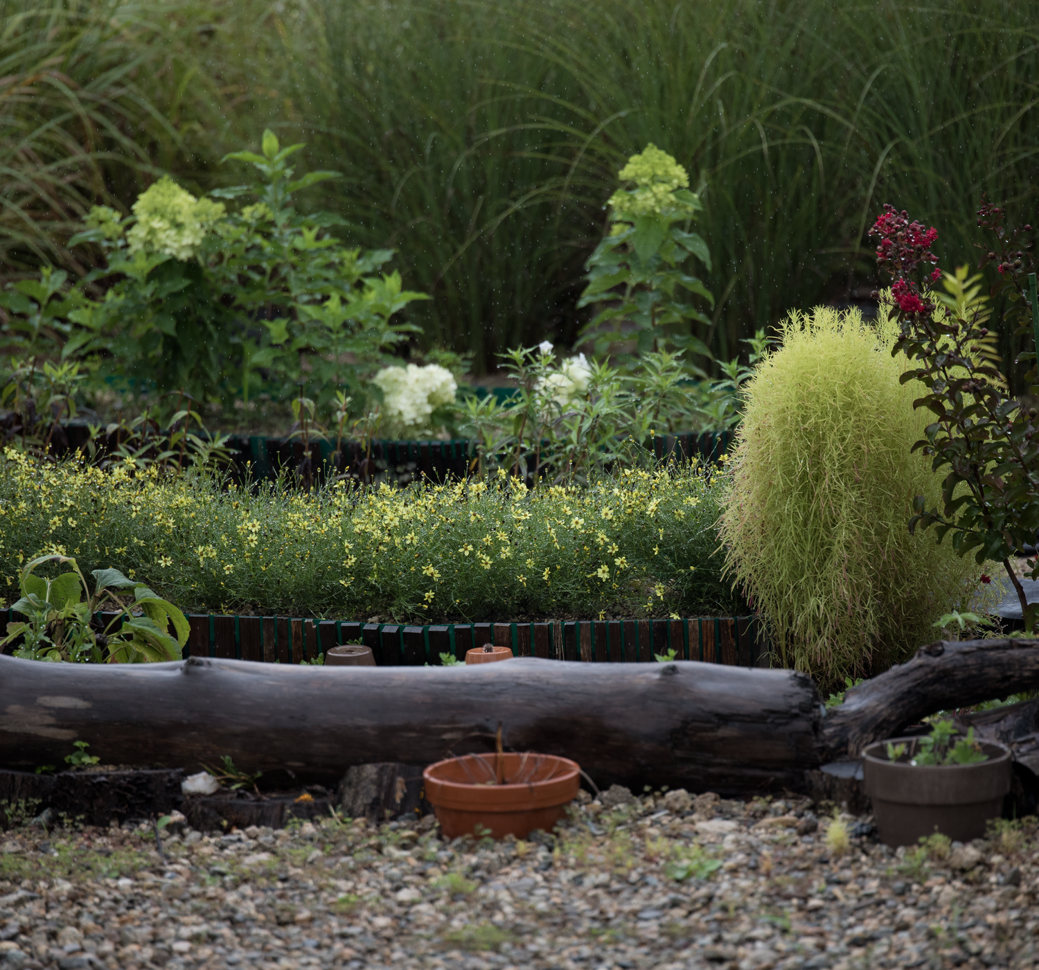 Serene garden landscape with various plants, flowers, and decorative logs.