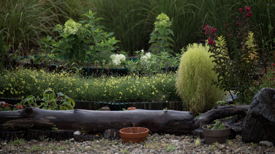 How to Buy a Greenhouse Without Overpaying or Regretting It