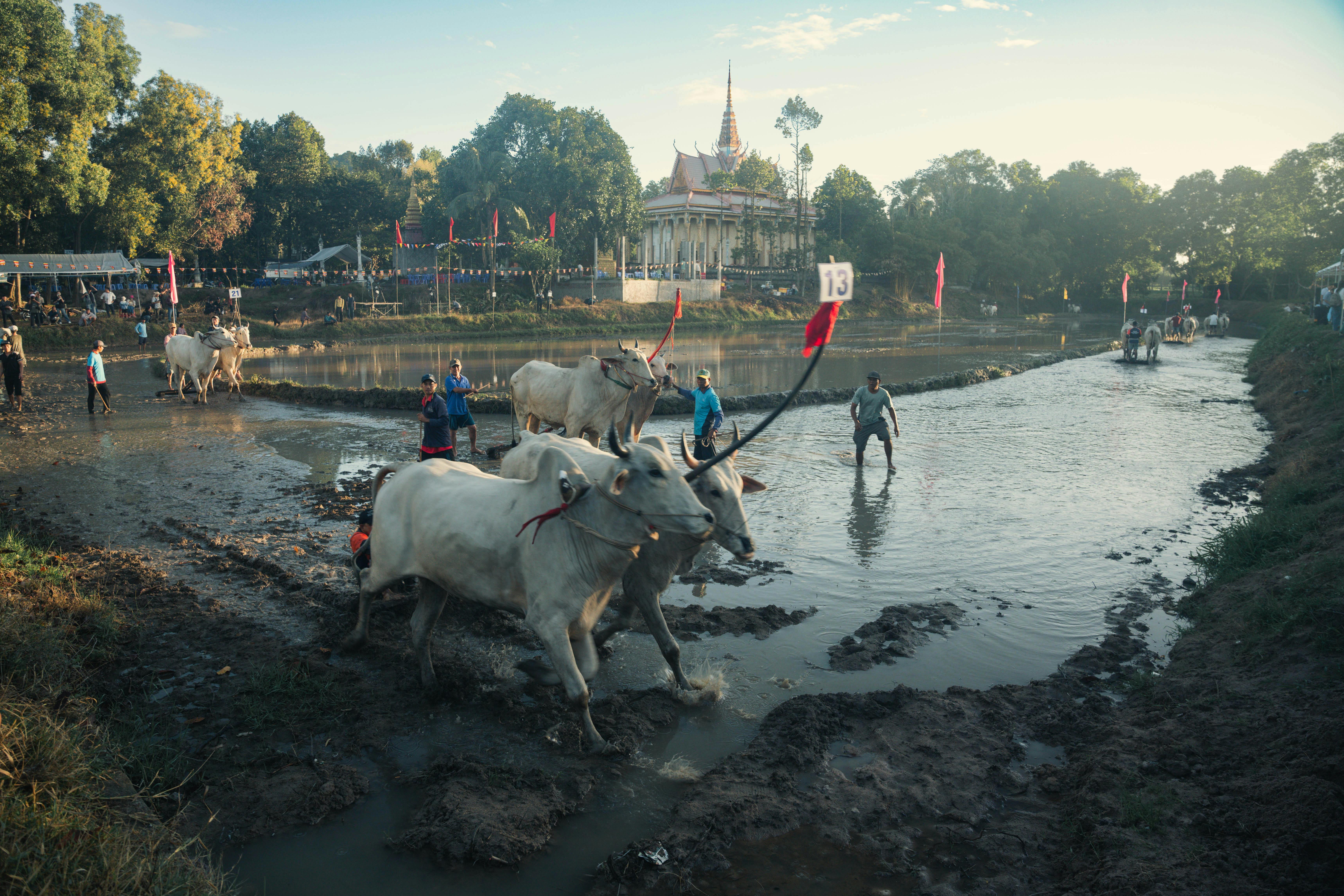 i嘉科技運動會開賽 470選手同場較勁熱血沸騰