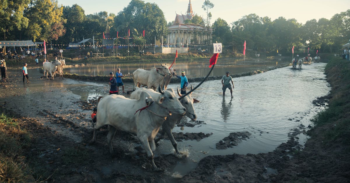 i嘉科技運動會開賽 470選手同場較勁熱血沸騰