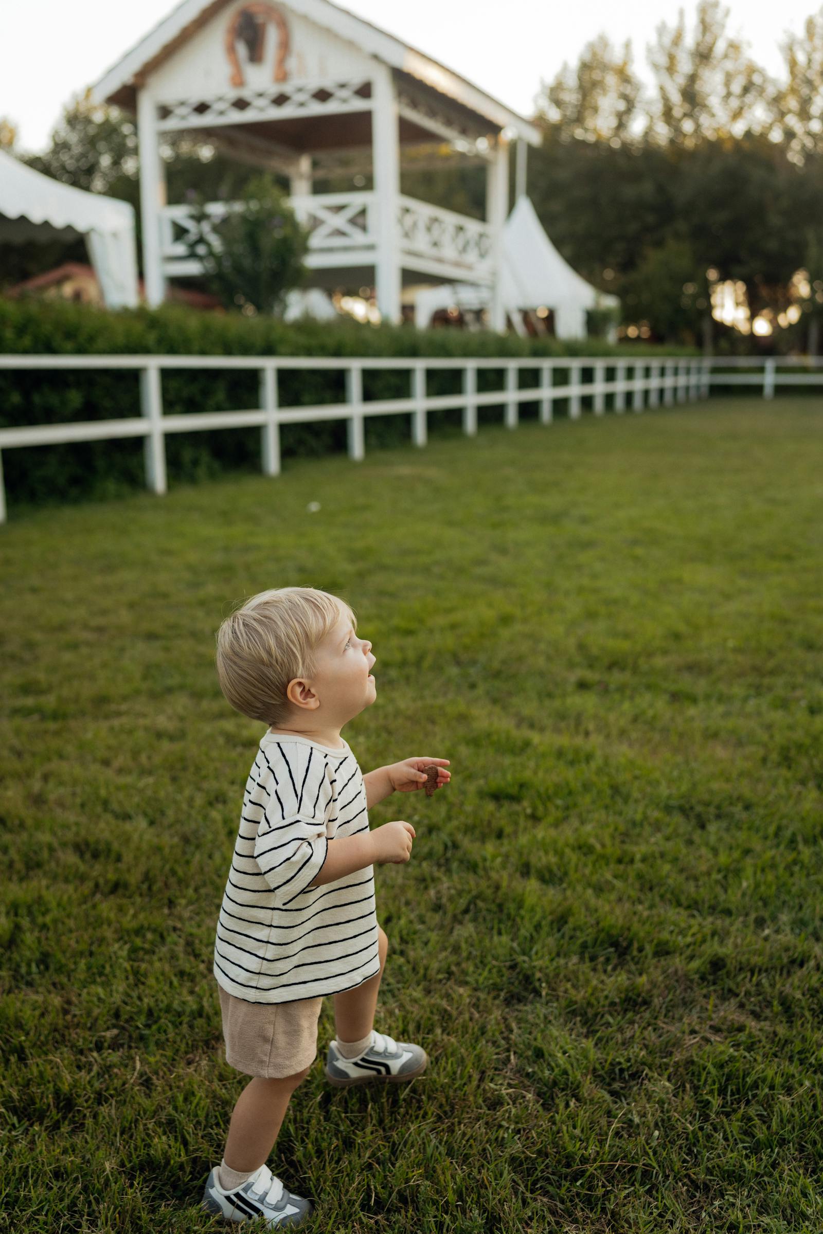 Free+360+Psd Photos, Download The BEST Free Free+360+Psd Stock Photos ...