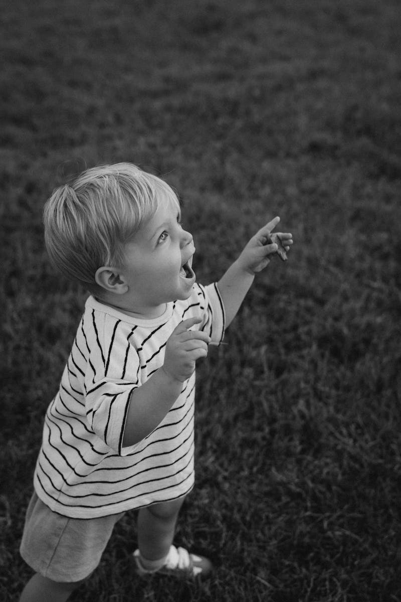 Free+360+Psd Photos, Download The BEST Free Free+360+Psd Stock Photos ...