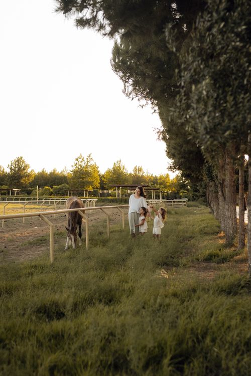 Free A family enjoys a peaceful walk in a green pasture accompanied by a horse during a sunny day. Stock Photo