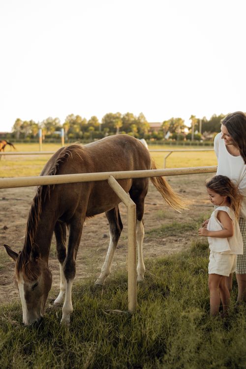 Free A mother and daughter watch a horse grazing in a sunny field, evoking a peaceful rural scene. Stock Photo