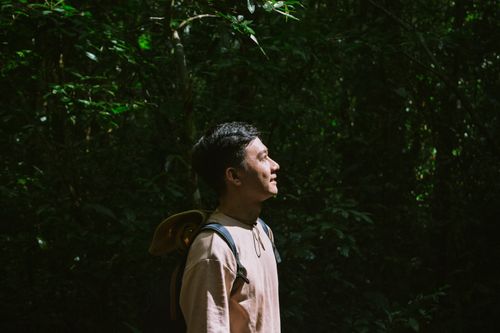 Free A man stands in a sunlit forest, embracing nature with serene joy. Stock Photo