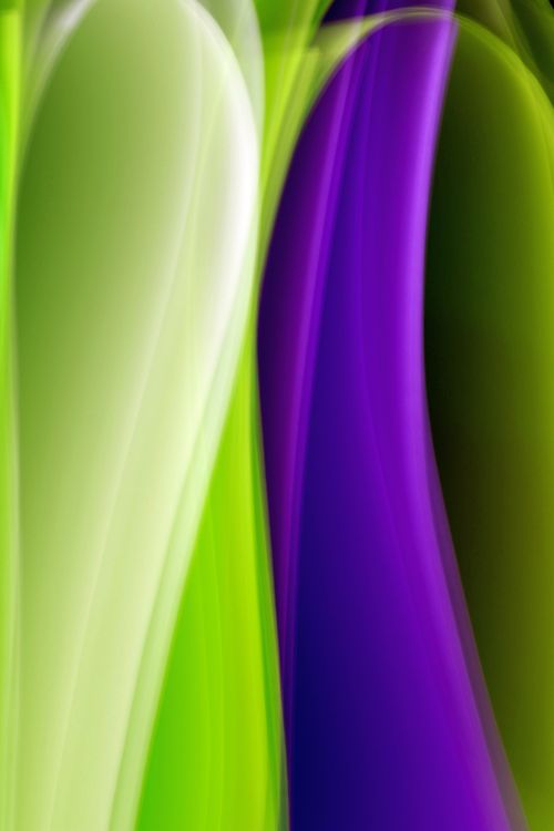 Free Colorful abstract artwork featuring dynamic purple and green curved lines. Stock Photo