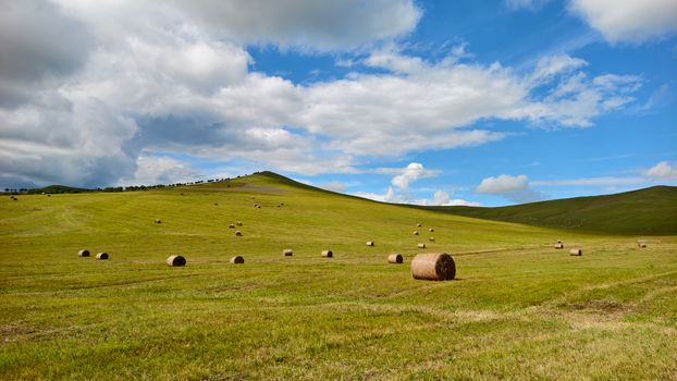Beautiful green grassland landscape with scattered hay bales under a blue sky with clouds.
