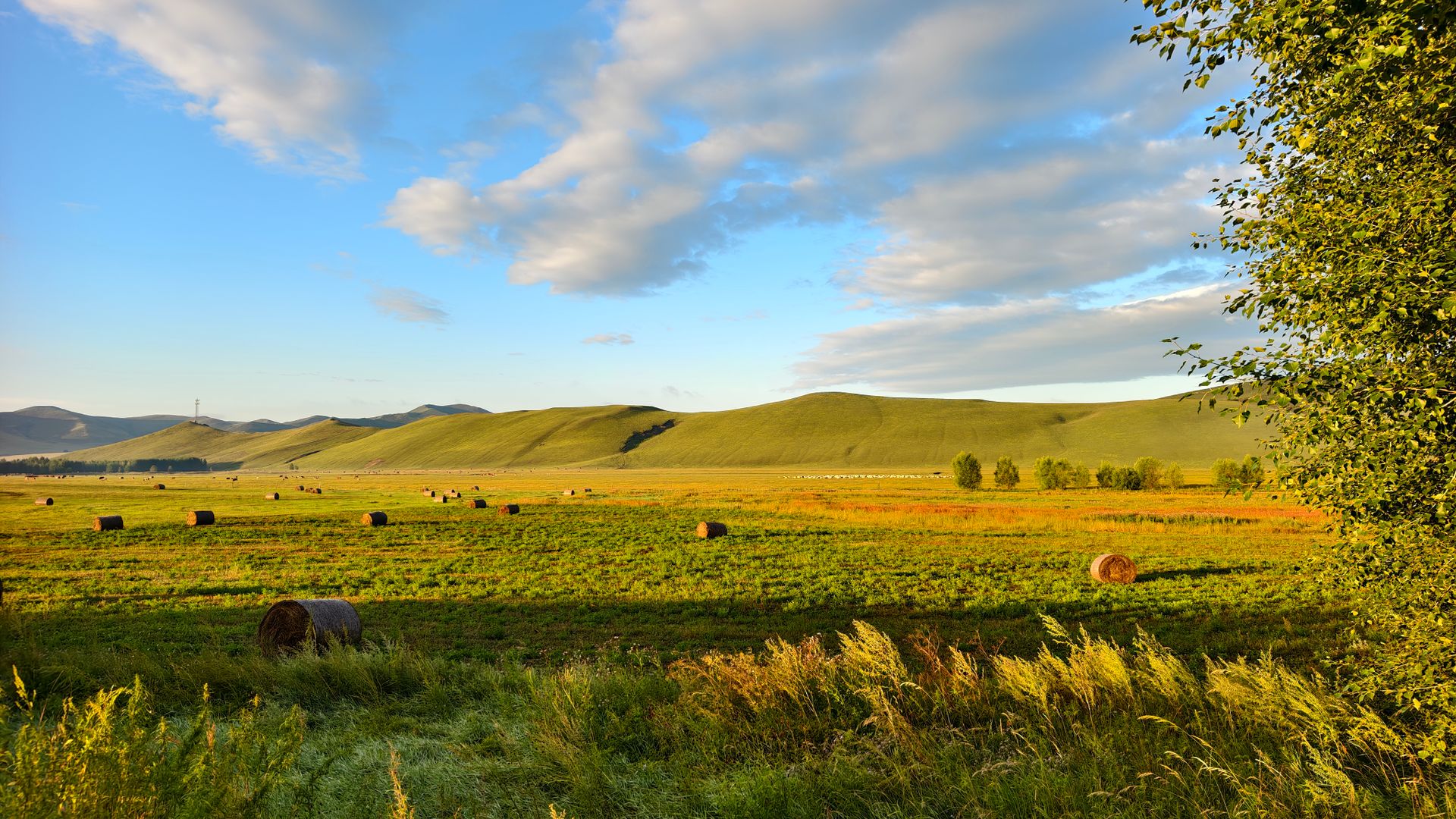 Lush landscape with hay bales under a vibrant sunset sky, capturing rural tranquility.