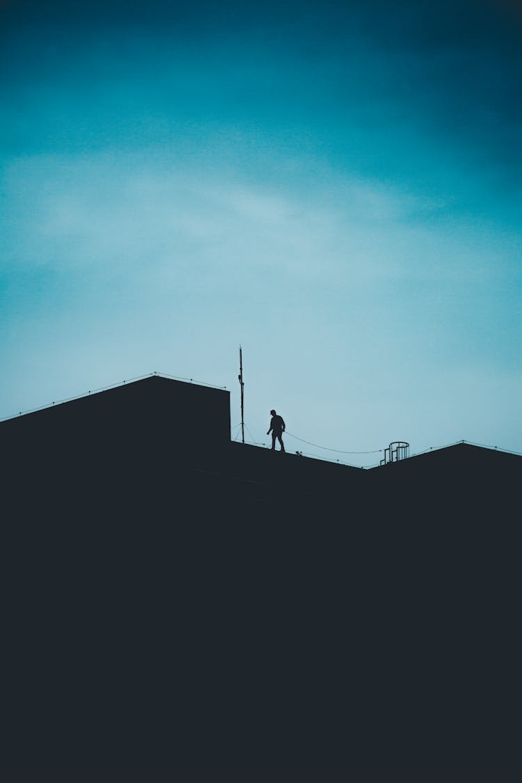 Silhouette Photography Of Person