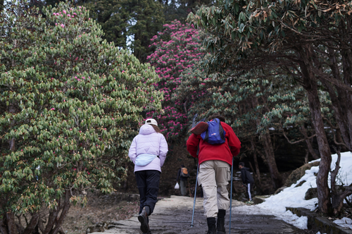 Free Best Uttarakhand Trekking Stock Photo