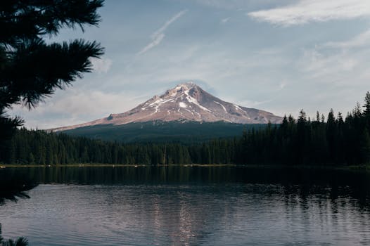Scenic view of Mount Hood reflecting in Trillium Lake surrounded by lush forests.