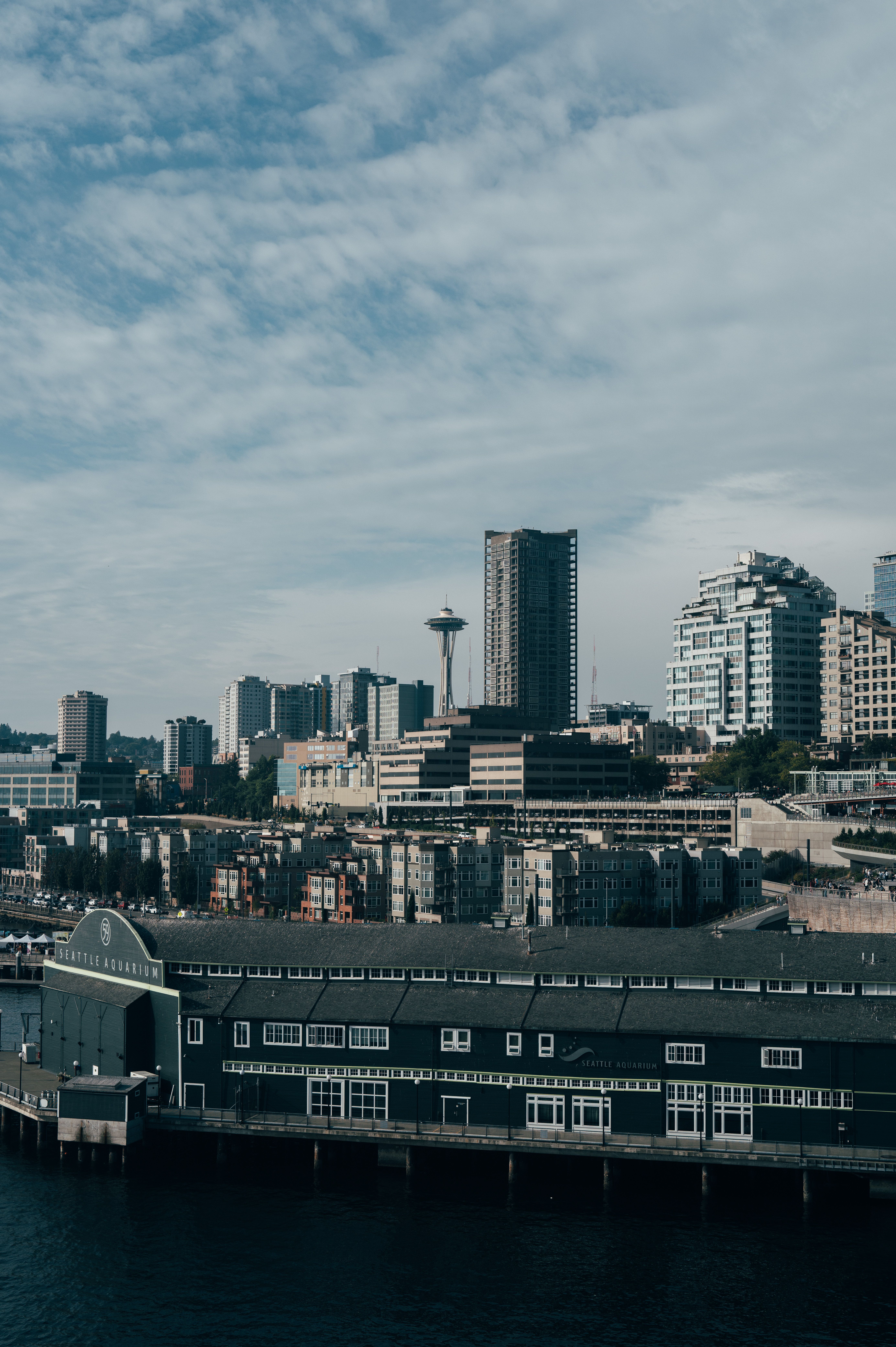 Seattle Skyline with Iconic Space Needle · Free Stock Photo