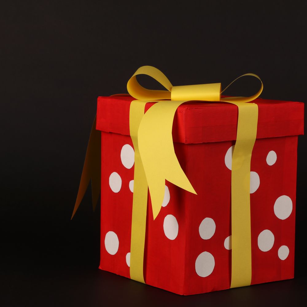 Leslie — professional packers wrapping and boxing belongings
