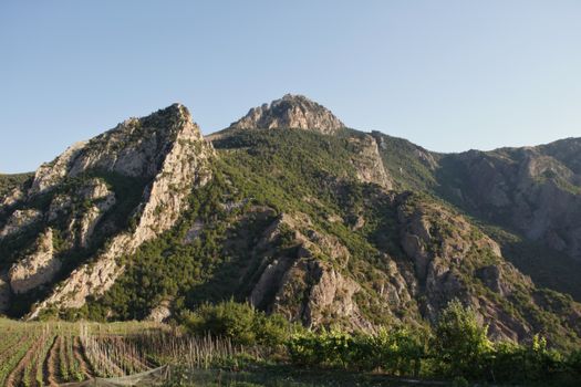 Breathtaking view of rugged mountains and lush vineyards under a clear blue sky.