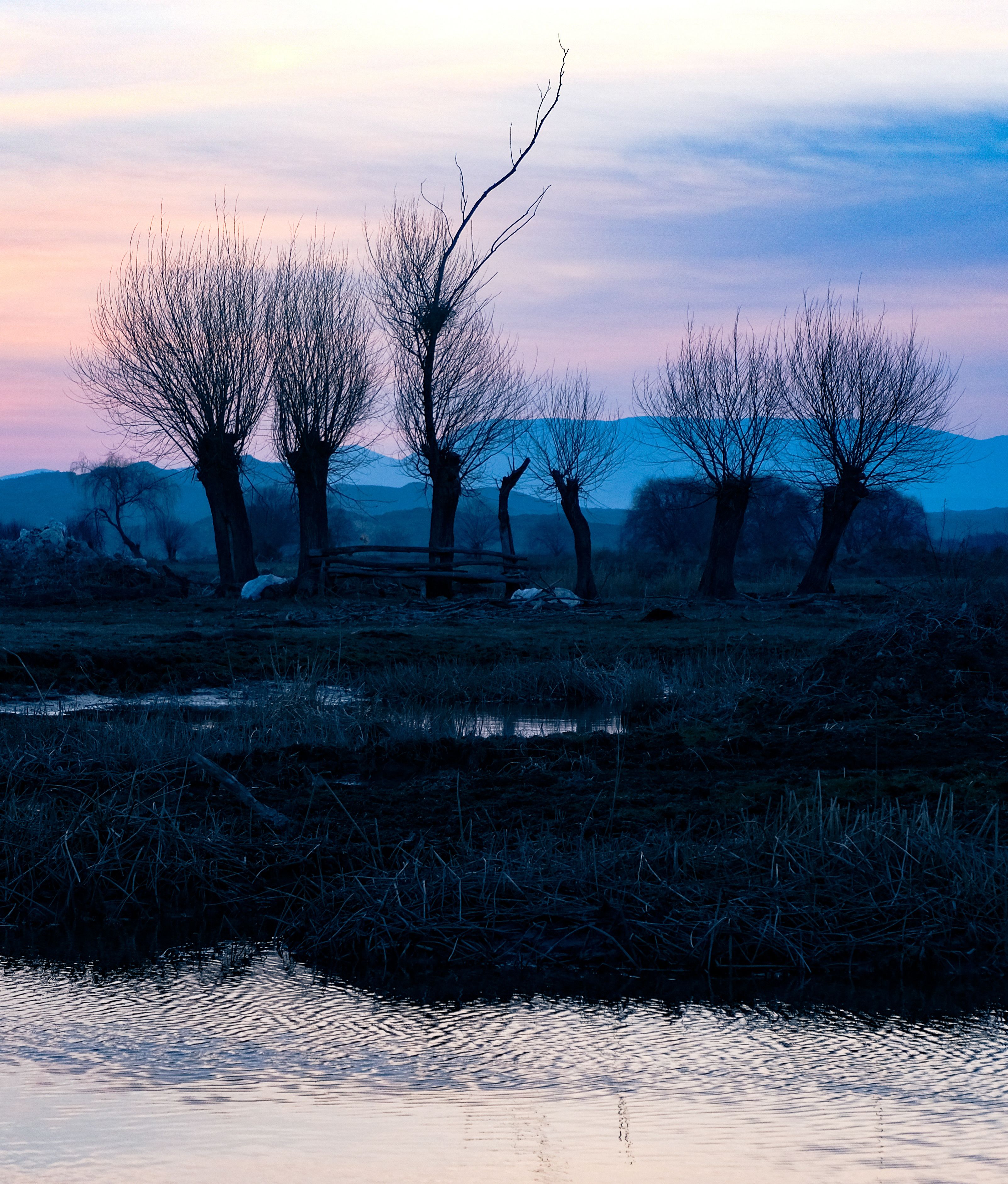 Photographie de la faune nocturne en Camargue 