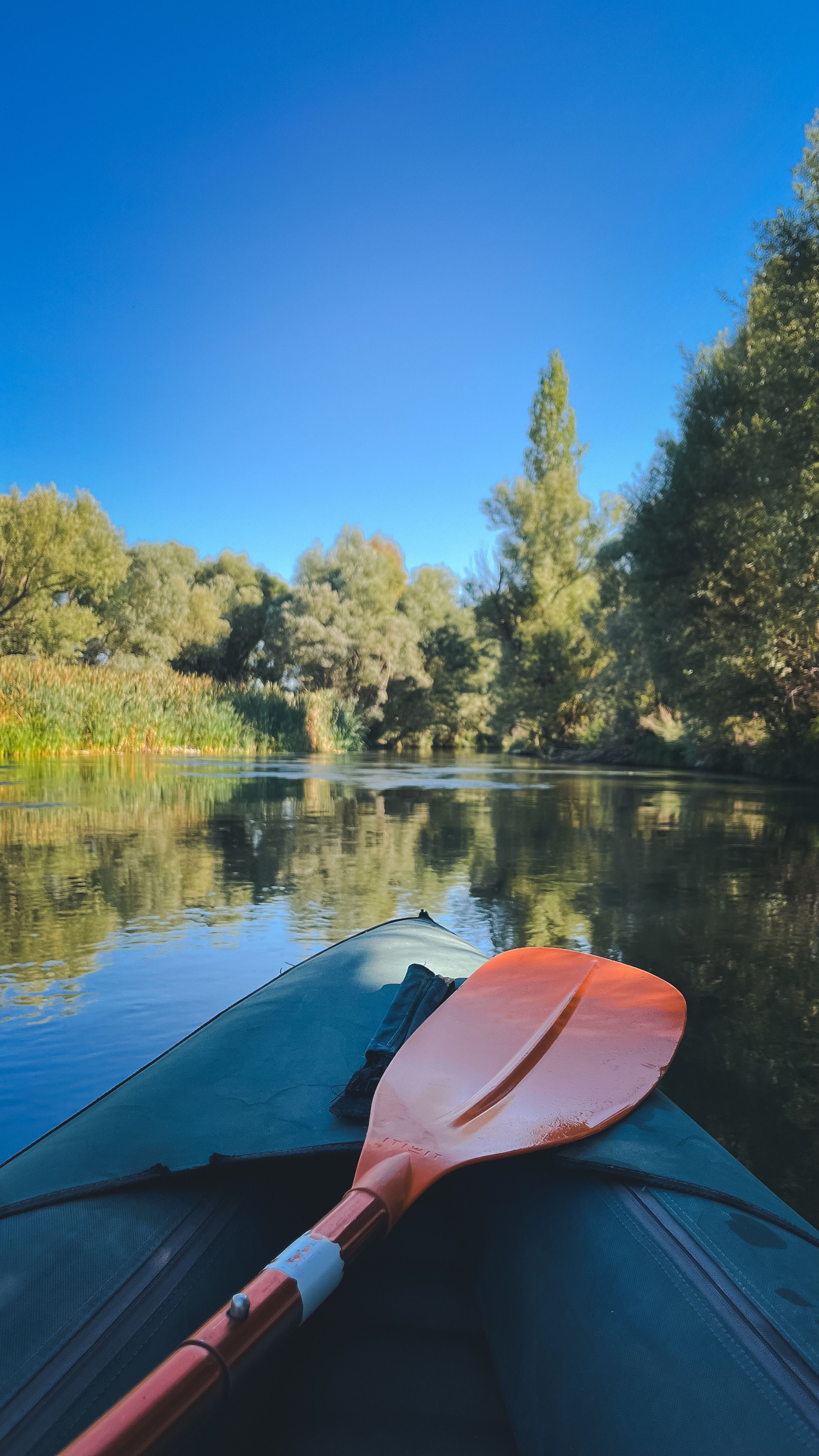 Les meilleures balades en kayak dans le delta du Rhône 
