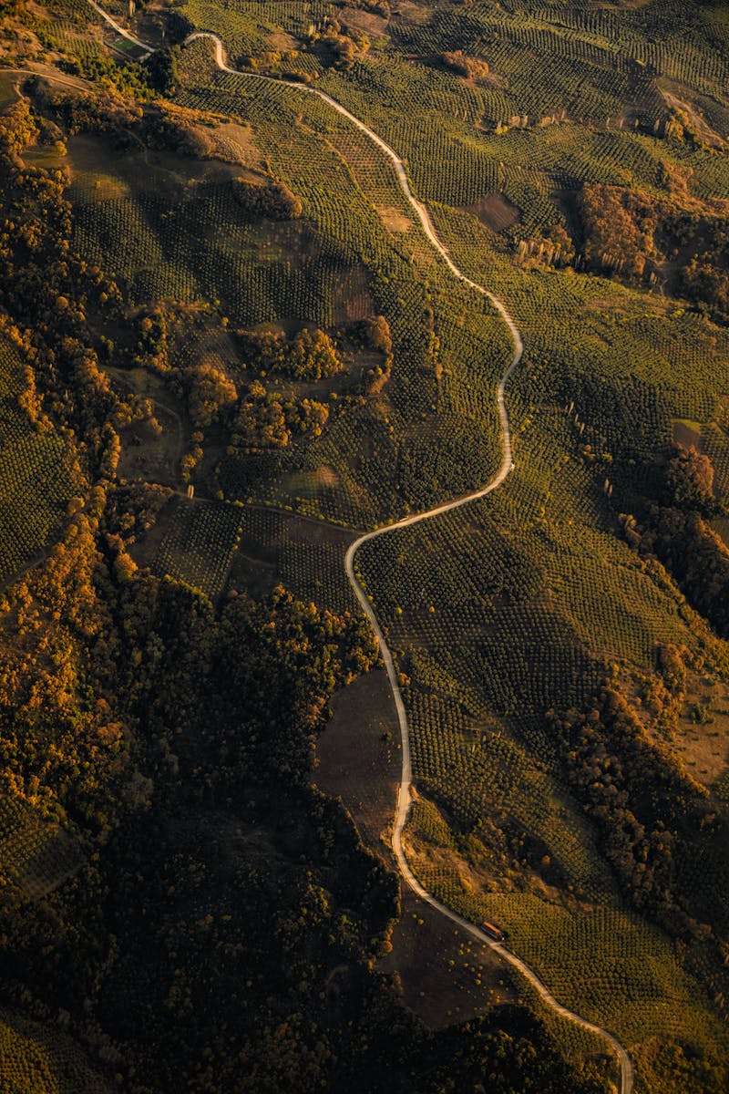 Desert Safari Safety