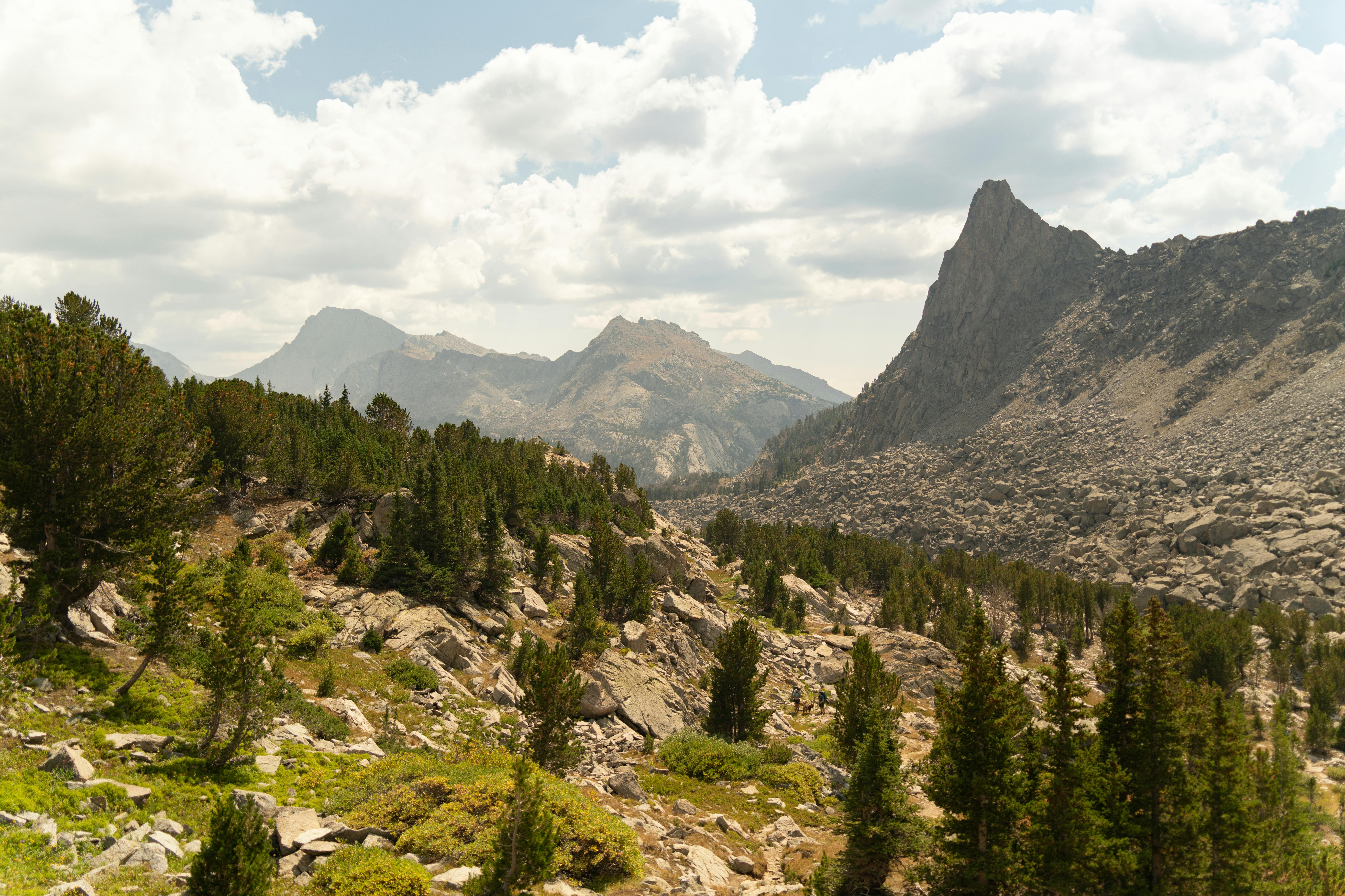 Tips dan Trik Liburan ke Tanjung Jabung Barat