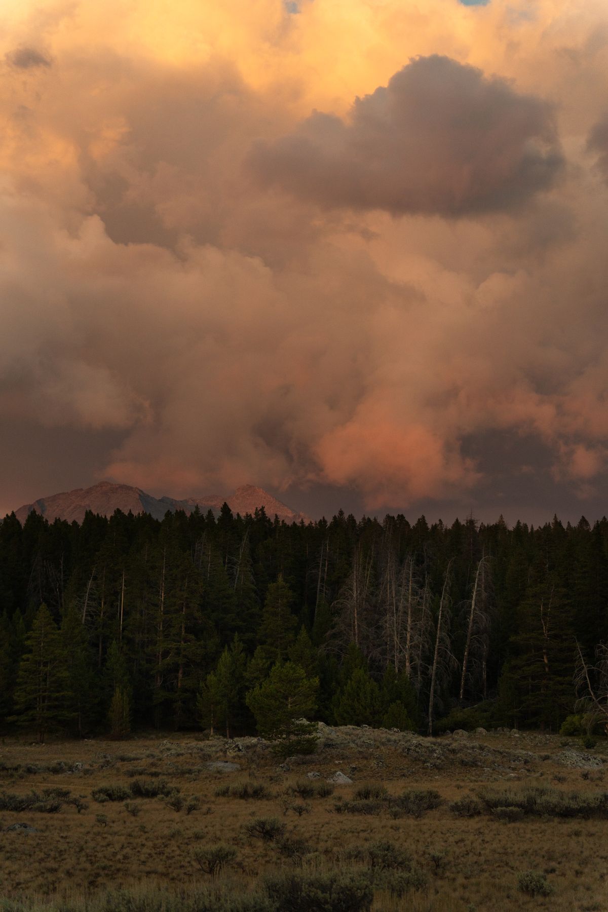 A sunset over a mountain range and trees · Free Stock Photo