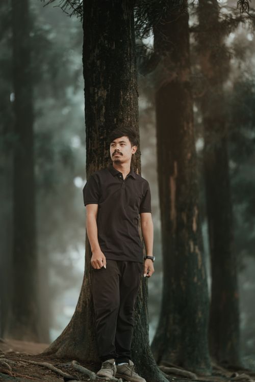 Free An adult man in black attire leans against a tree in a misty forest, creating a mysterious and serene atmosphere. Stock Photo