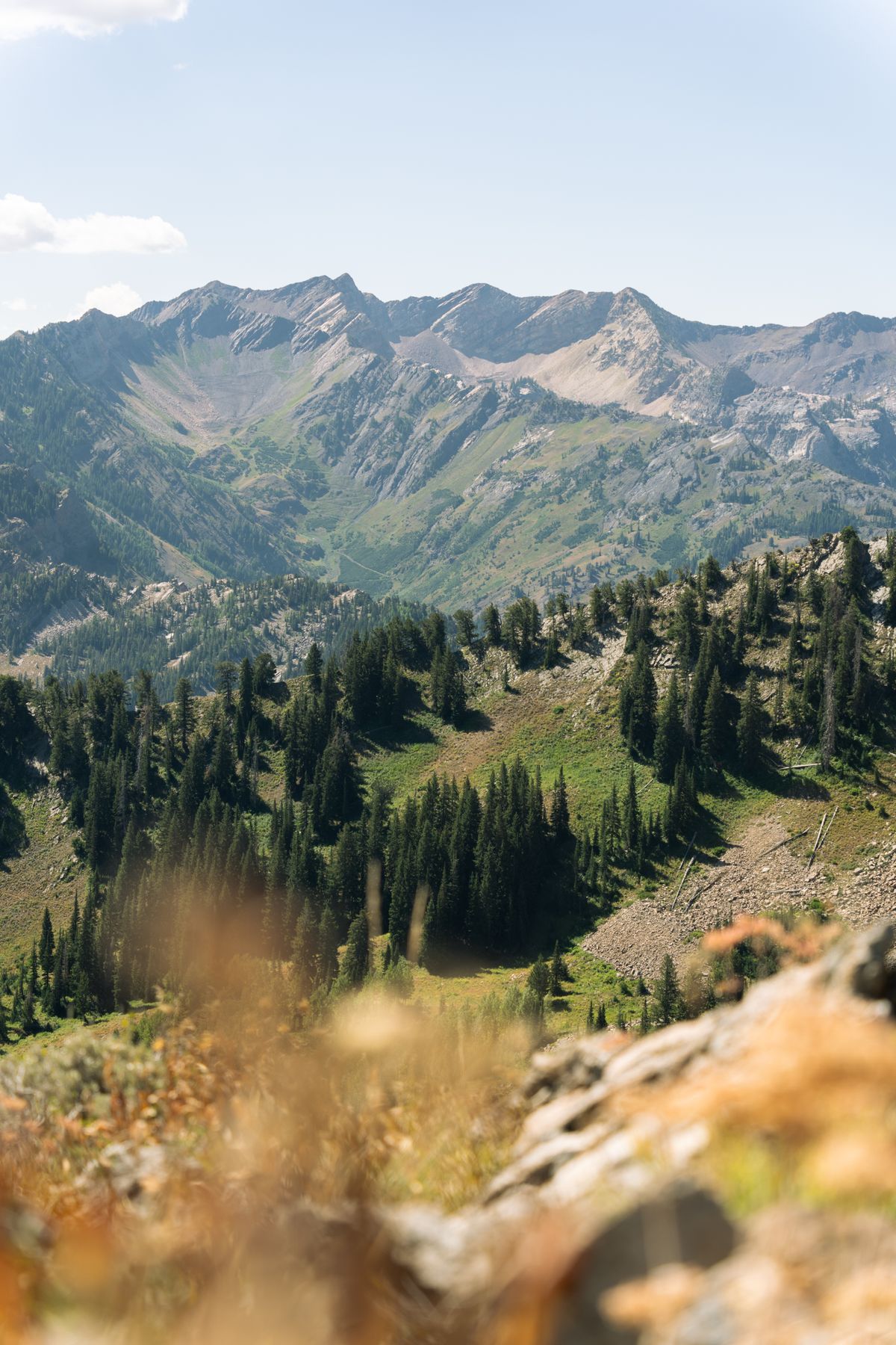Wasatch alpine landscape near home
