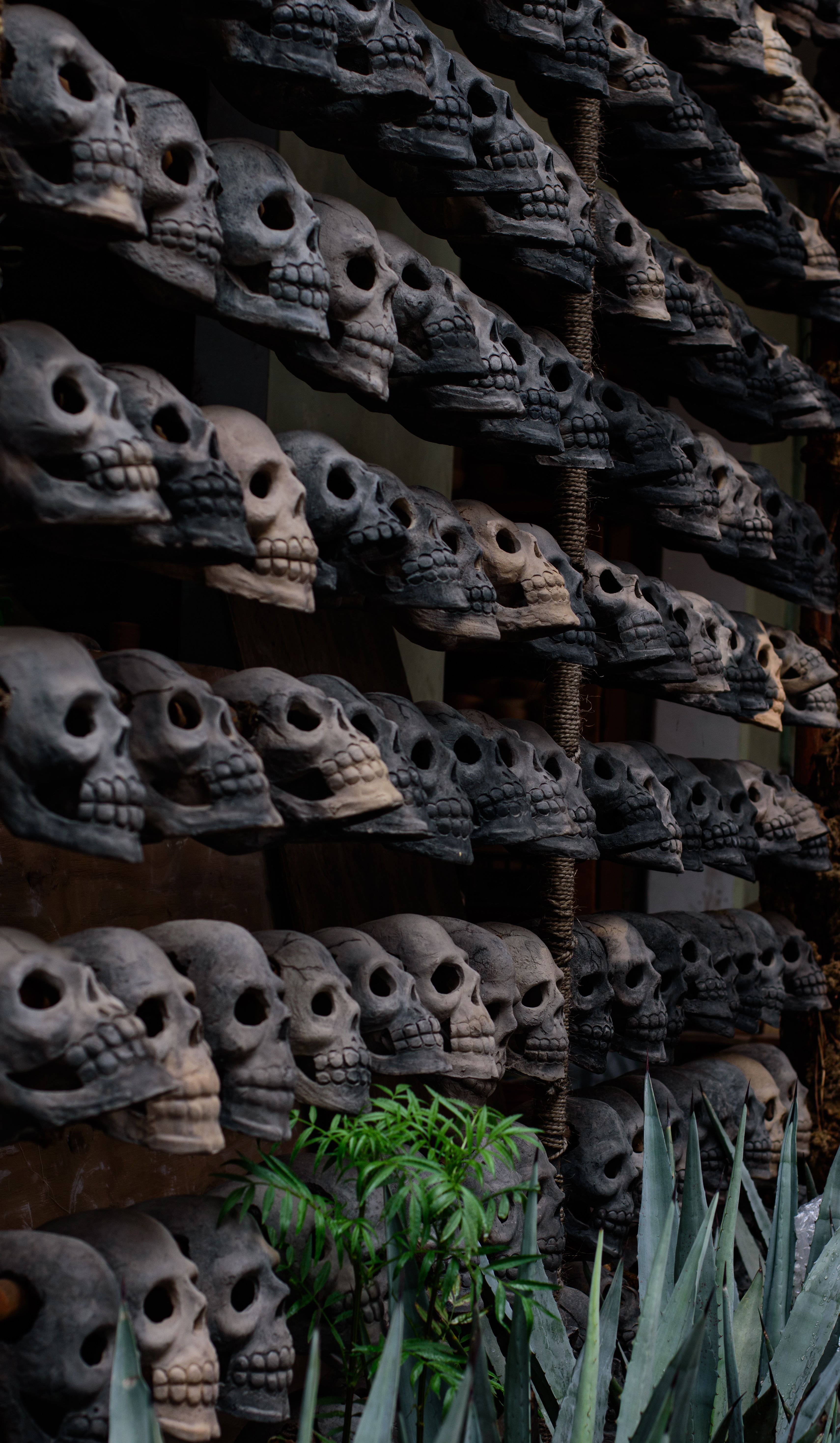 Skulls displayed in rows, reflecting traditional Mexican art and culture. Oaxaca, México.