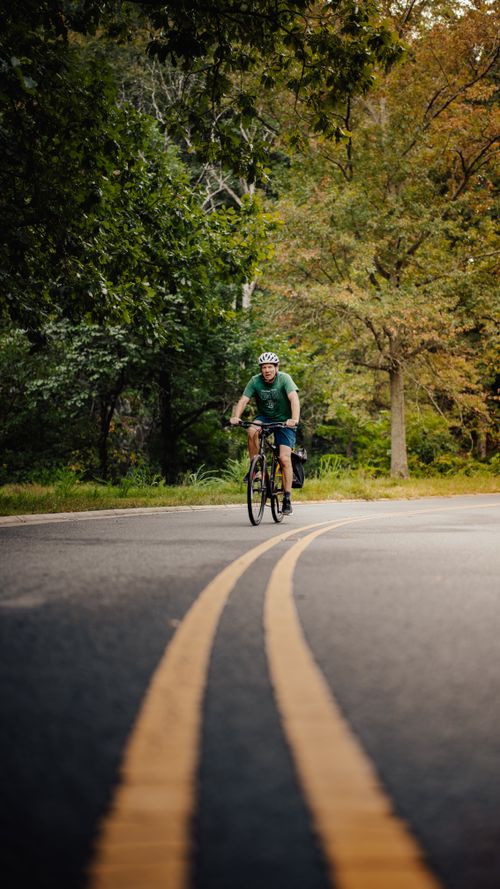 Free Cyclist enjoying a serene ride through a forested park in Washington DC during the fall season. Stock Photo