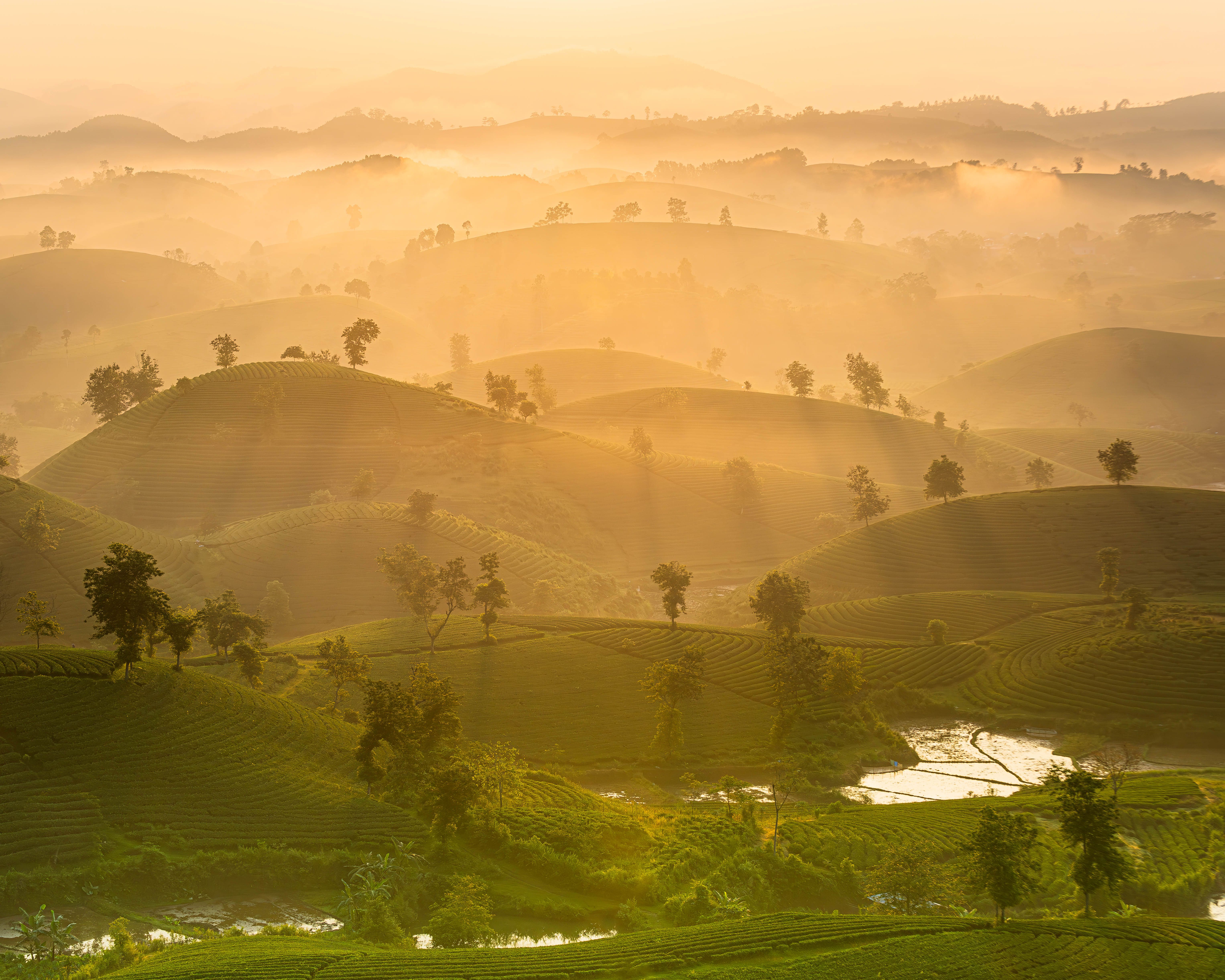 Tanzania and Zanzibar Combo Holiday from India: Best Packages