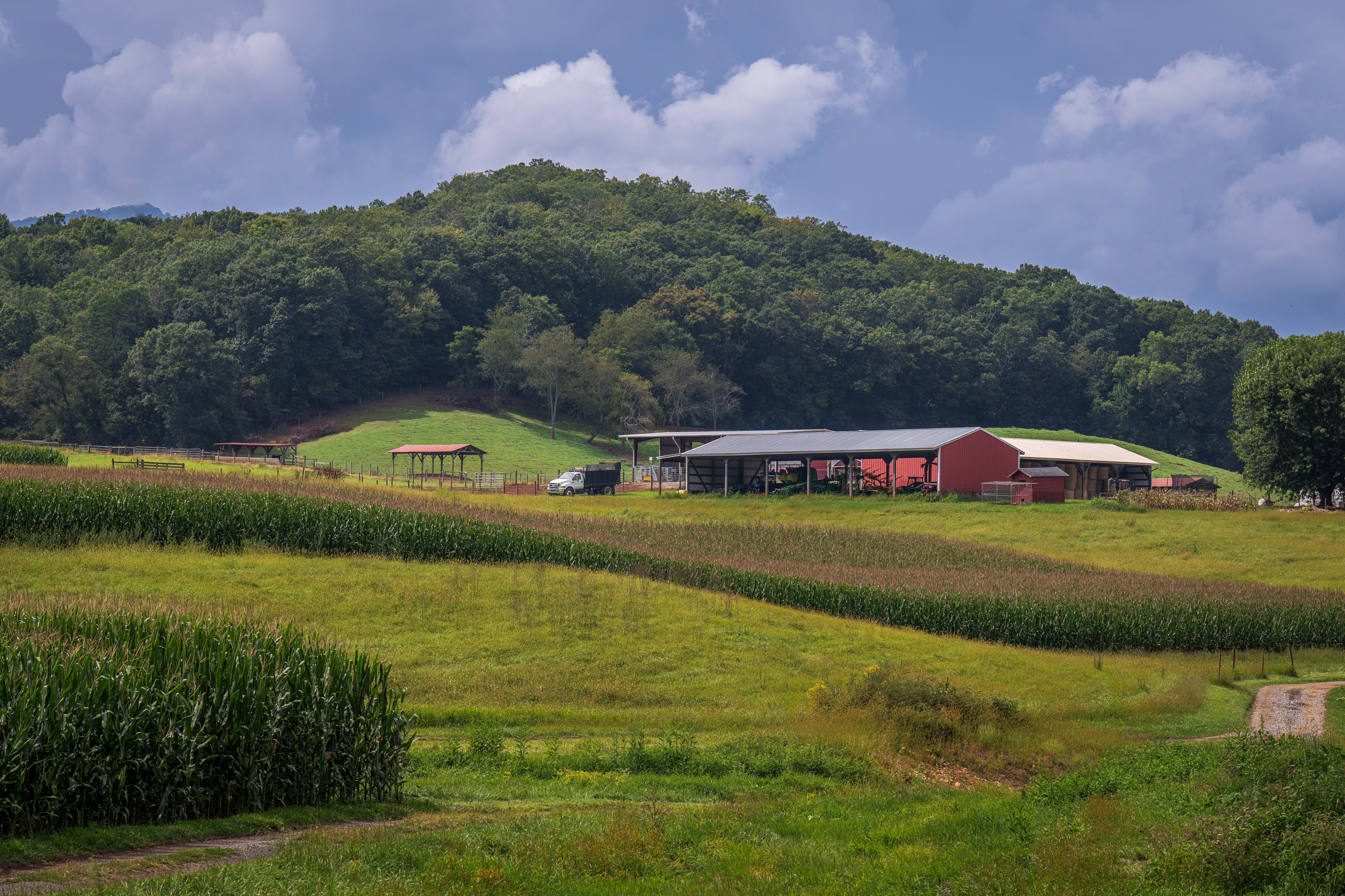 Idyllic Farm Landscape with Rolling Hills and Barn · Free Stock Photo