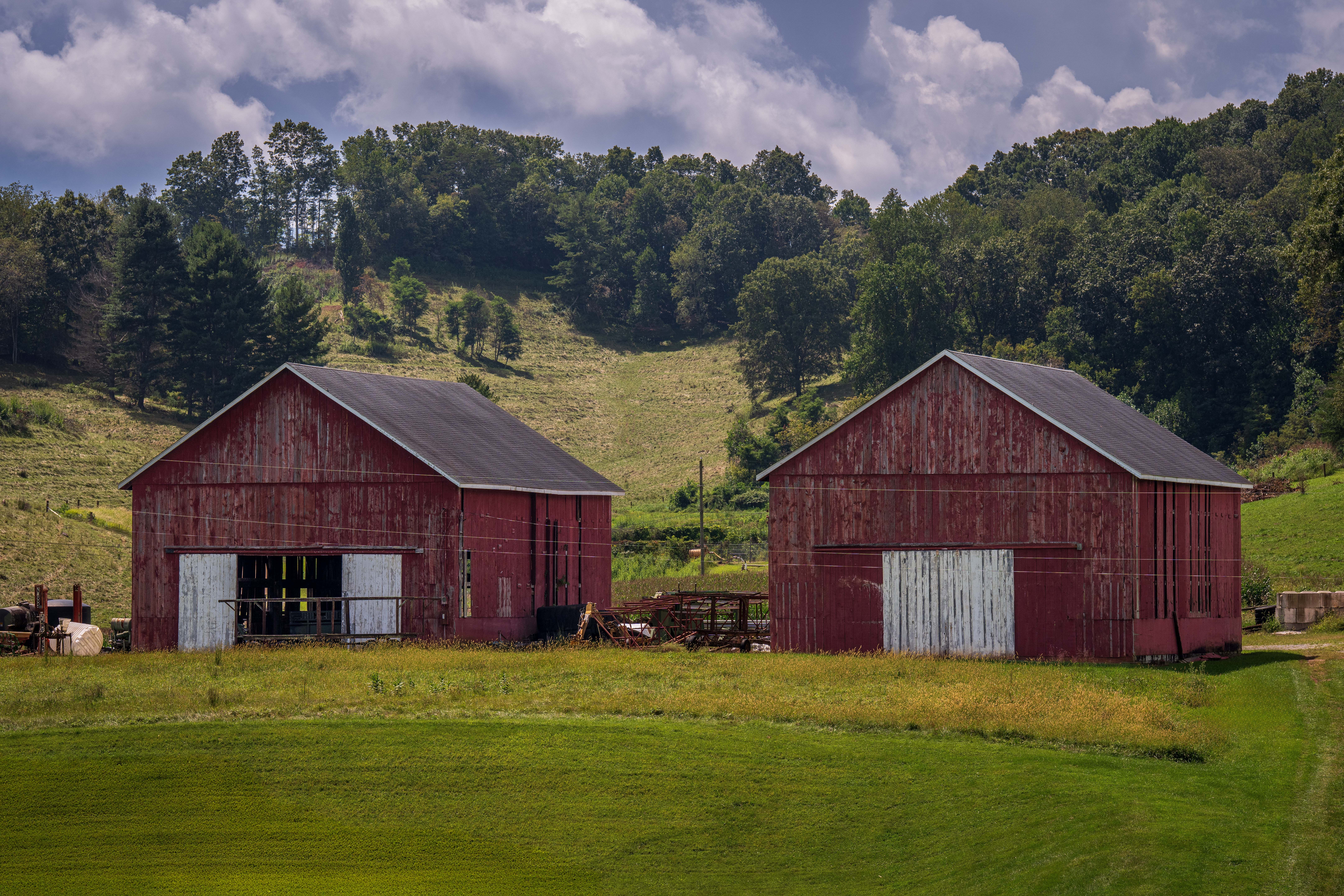 Rustic Red Barns in Lush Countryside Landscape · Free Stock Photo