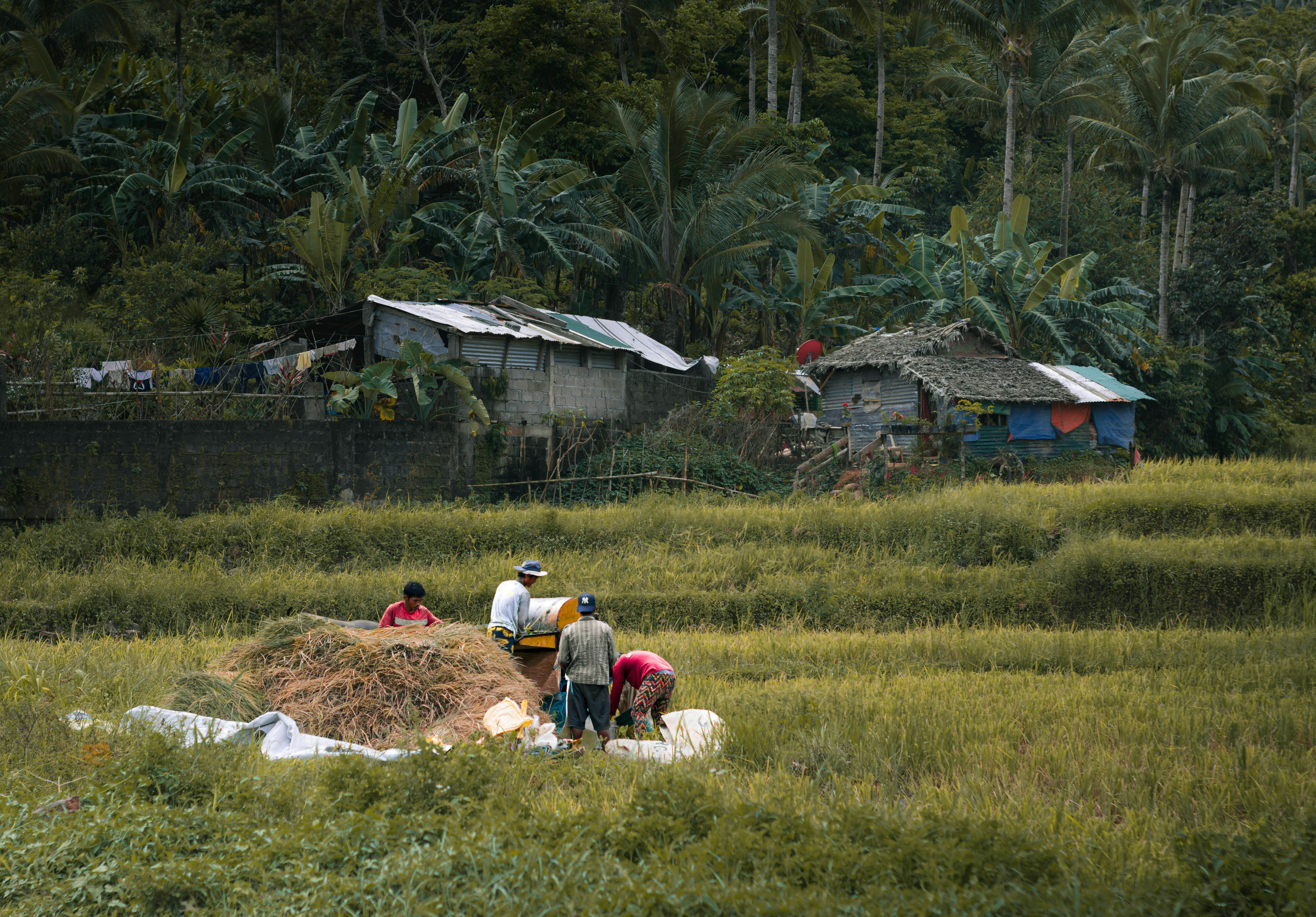 Farming is ours heritage future  our harvest - 江南体育