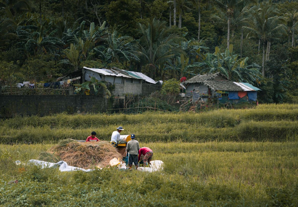 Nueva Ecija culture