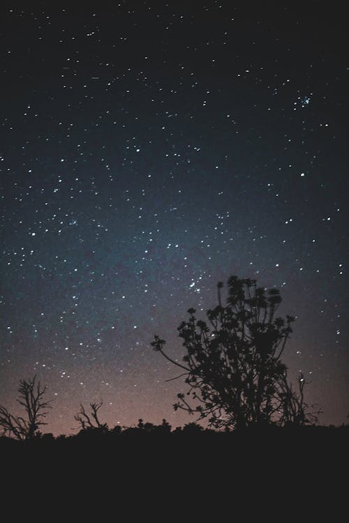 galaksi, gece gökyüzü, siluet içeren Ücretsiz stok fotoğraf
