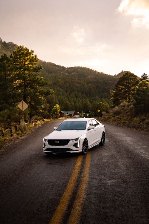 Free A stylish white car on a scenic mountain road surrounded by trees during sunset. Stock Photo