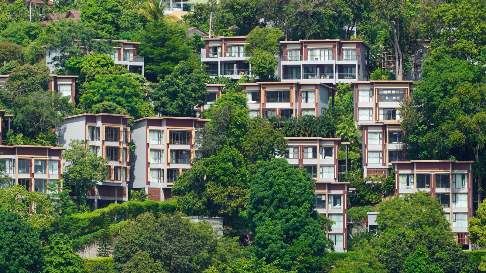 Establishment of Eco Resorts