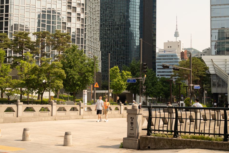 From Visa Panic to Peace: My D-2, E-2, and F-2 Survival Guide for Sinchon