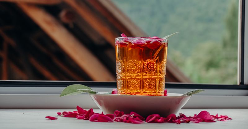 Tisane : quelle plante pour quel besoin ? Le guide pratique