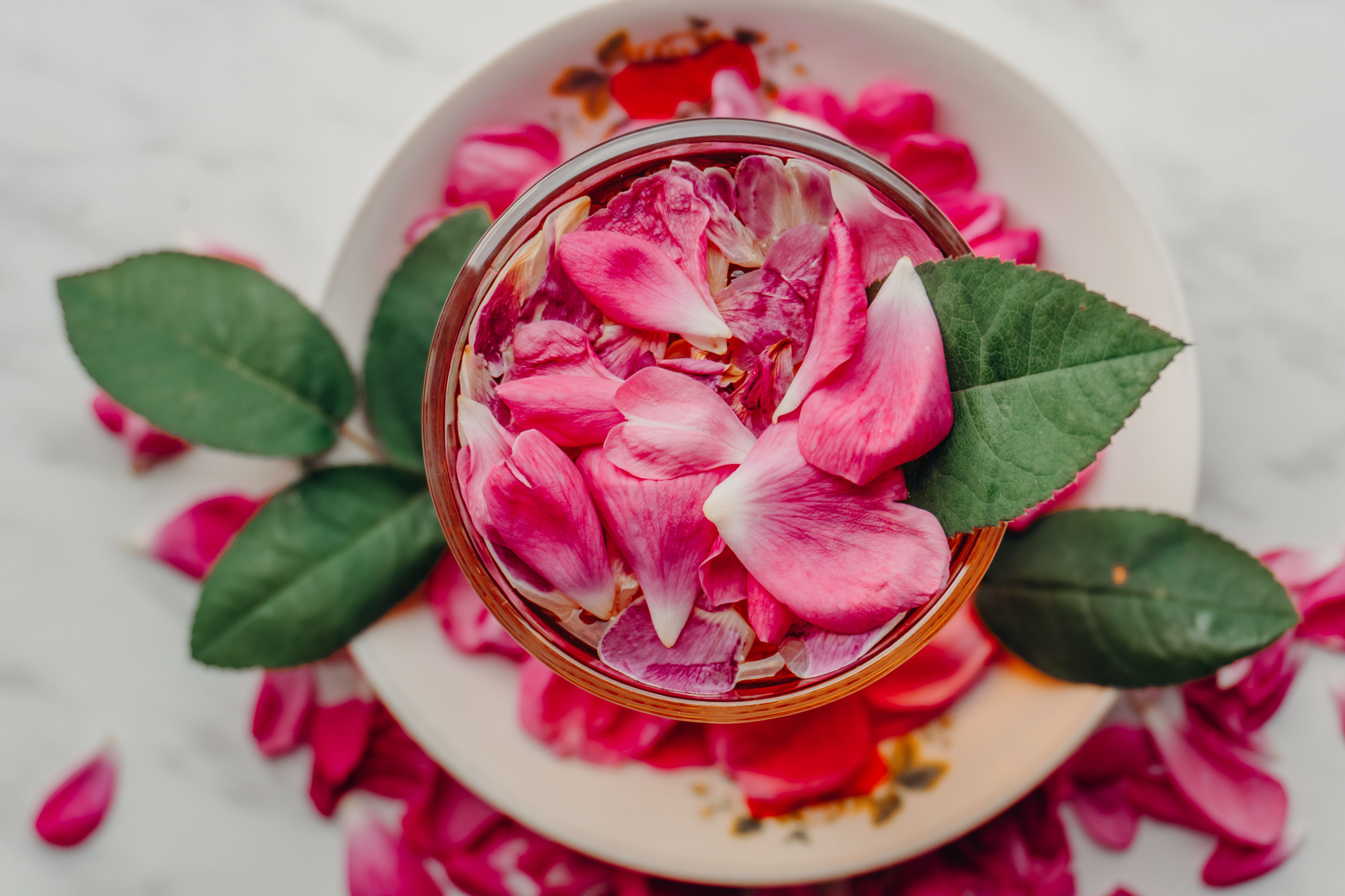 Les 7 Fleurs Comestibles Oubliées qui Nourrissent votre Énergie Vitale et Réveillent vos Sens
